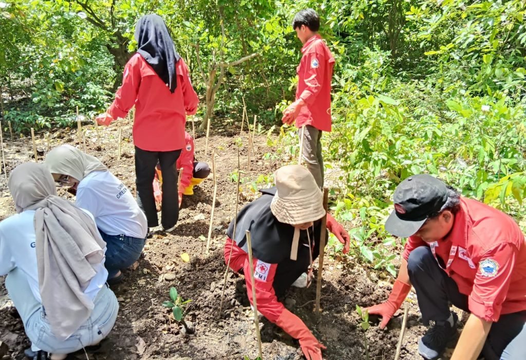 WhatsApp Image 2025 11 27 At 17.49.30